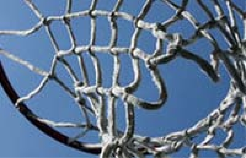 Bild zur pro und contra Liste Basketball