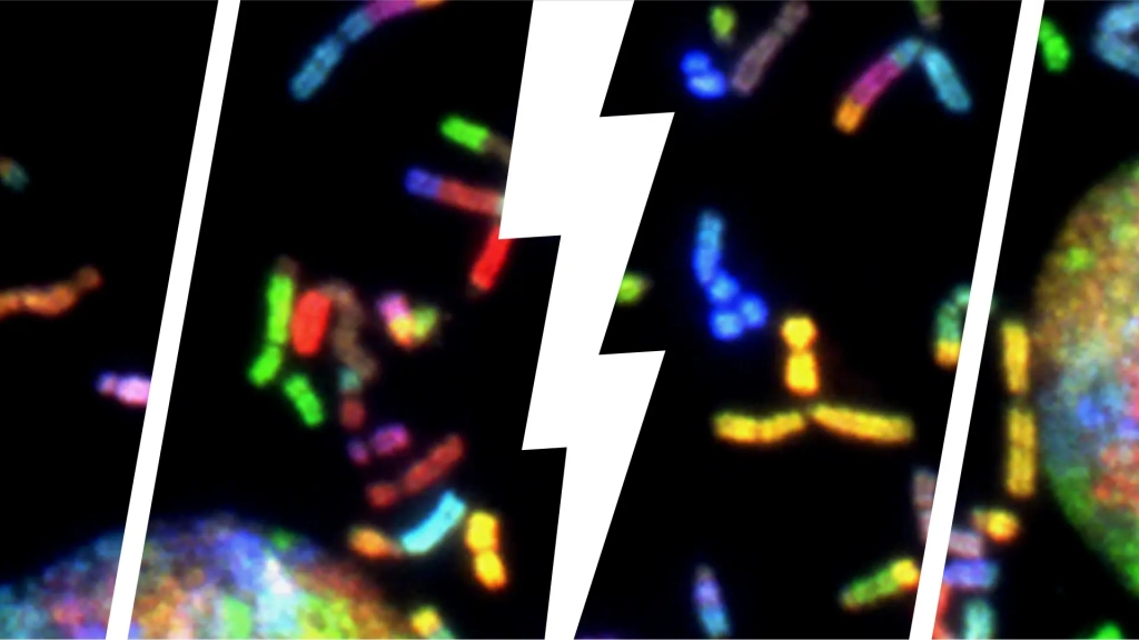 Bild zu Transmutation als Lösung gegen nukleare Abfälle