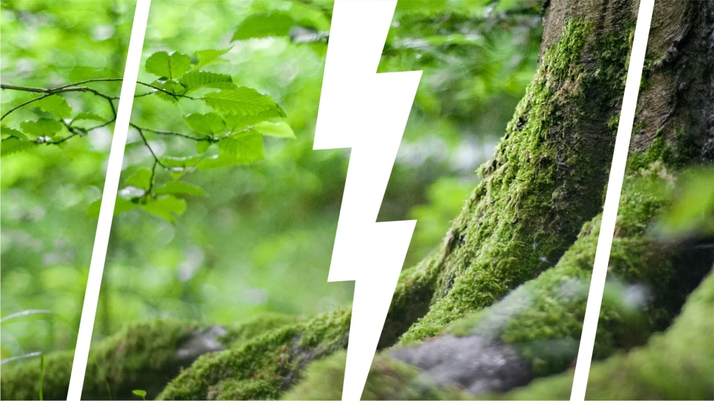 Bild zur Pro und Contra Liste Umwelt